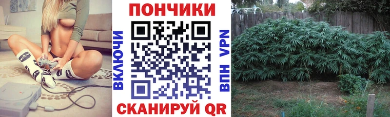ГАШИШ Камызяк