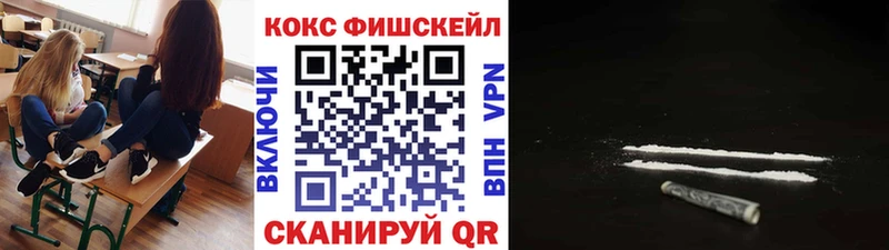 Cocaine FishScale  где найти   shop формула  Камызяк 