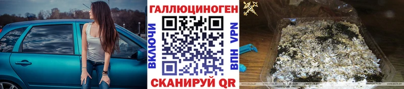 Галлюциногенные грибы Psilocybine cubensis  Камызяк 
